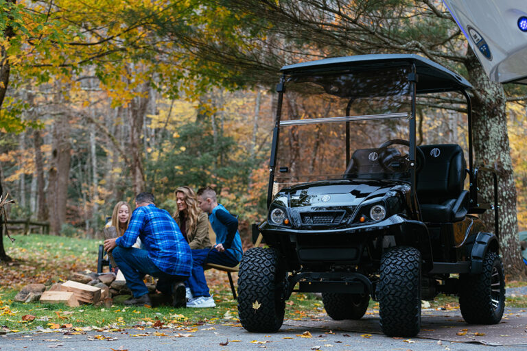 Golf Carts for Sale In Fort Myers, FL New & Electric Golf Carts