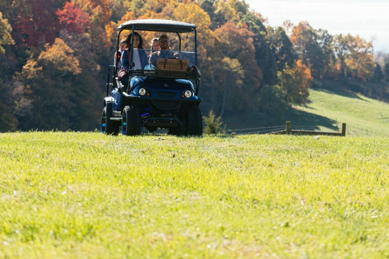Golf Cart Mounts for Sale in Louisiana
