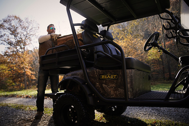 New Golf Carts in South Carolina