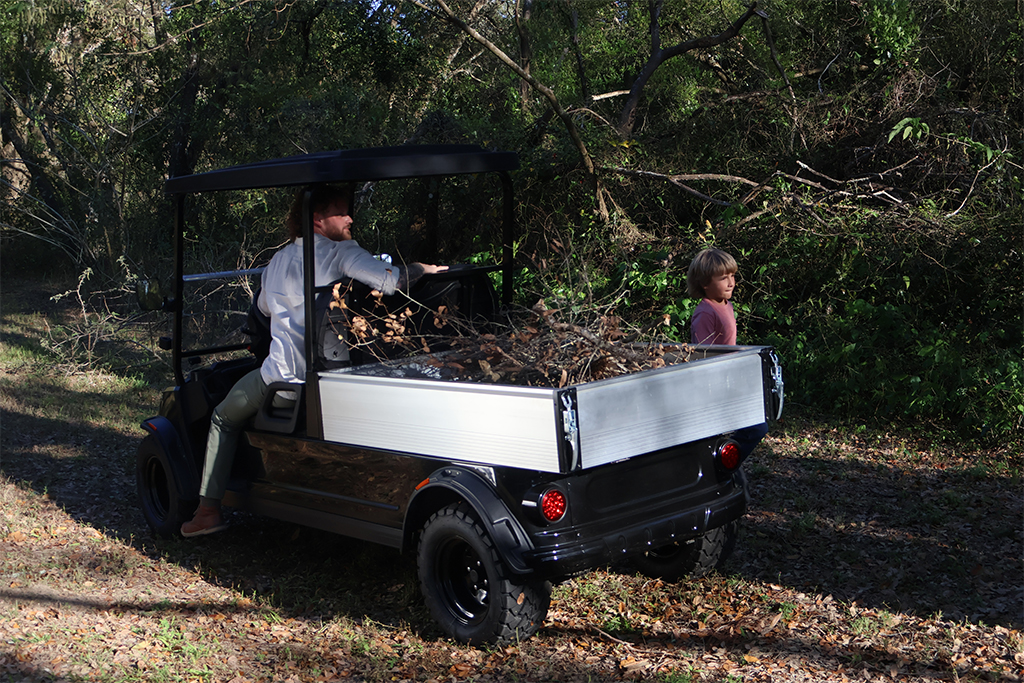 FF6 golf cart for sale in Missoula