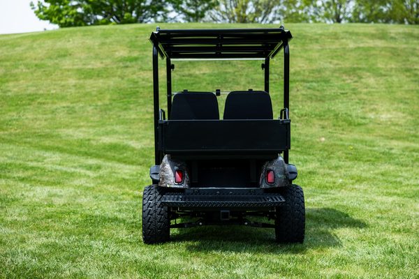 Beast LE 4x4 Golf Cart In Missoula