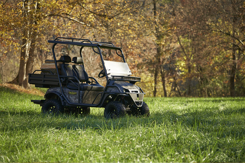 Golf carts Driver's License