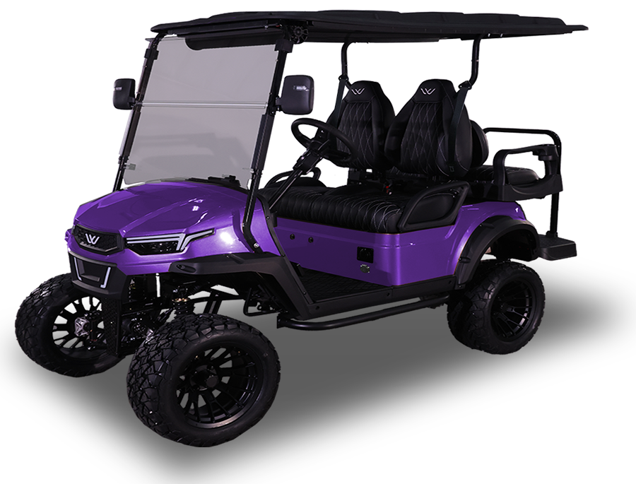 Golf Cart for Sale near Lutz