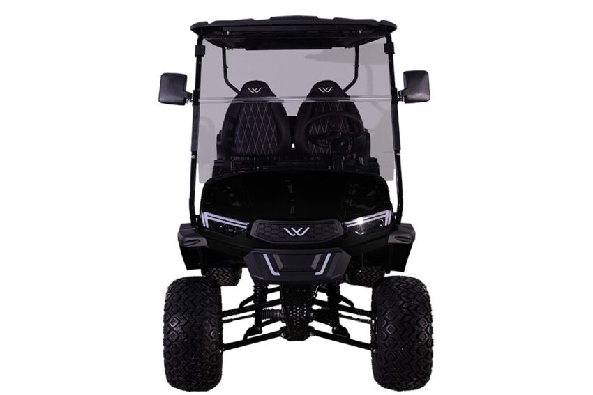 W5 - Image 2