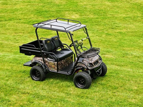 Buy Golf Carts in Fort Myers