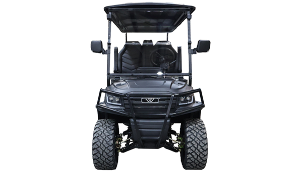 FF6 golf cart for sale in Pensacola