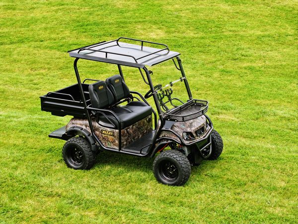 Beast LE 4x4 Golf Cart In Riverside