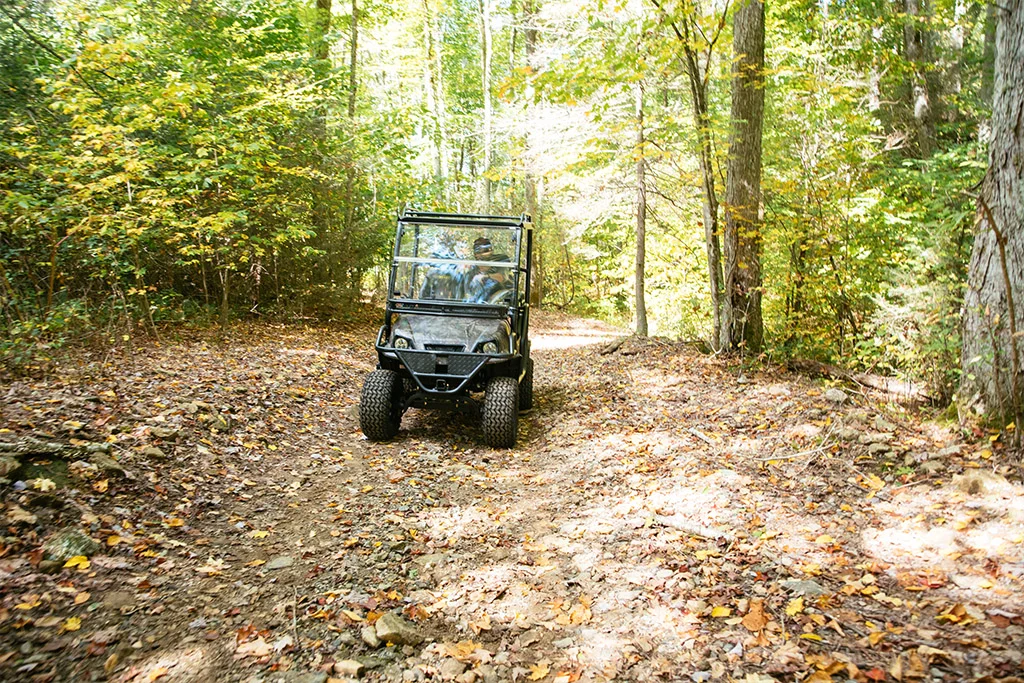 Community Benefits of Golf Carts