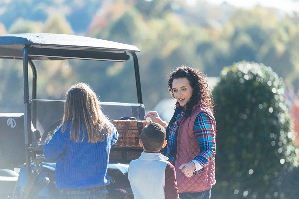 Suspension & Steering of used golf cart